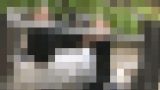102284 01