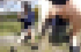 102546 01