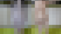 111131