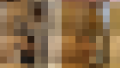 113551 01