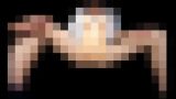113675 01