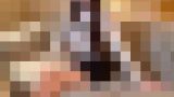 115576 01