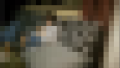 118759