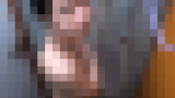 119919 01