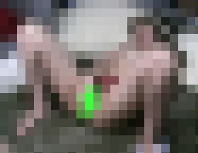 120146
