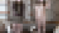 120356